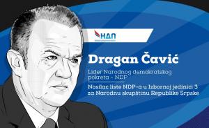Infografika: Dragan Čavić, Lider NDP-a 